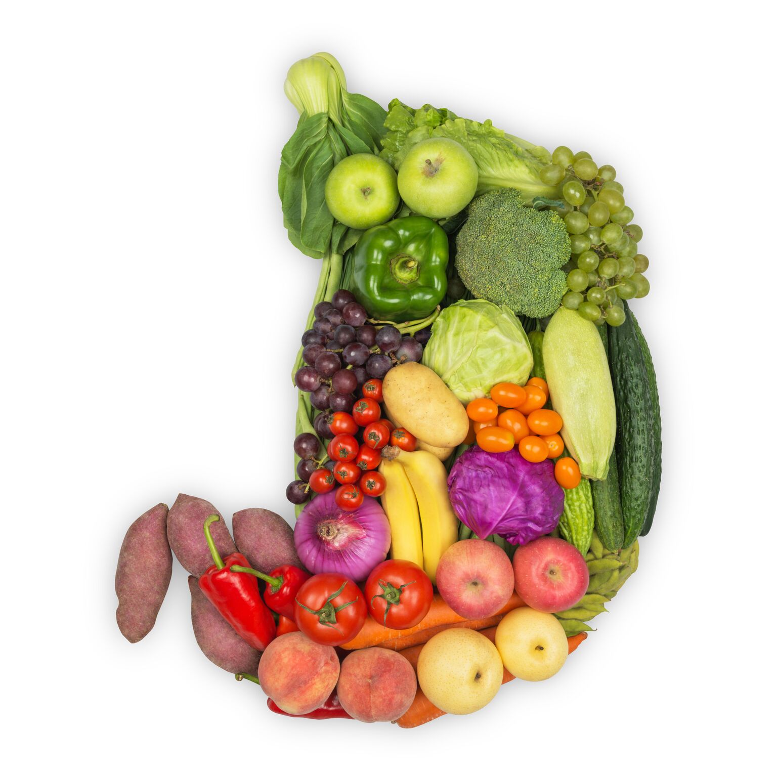 Nutrition for a Healthy Gut