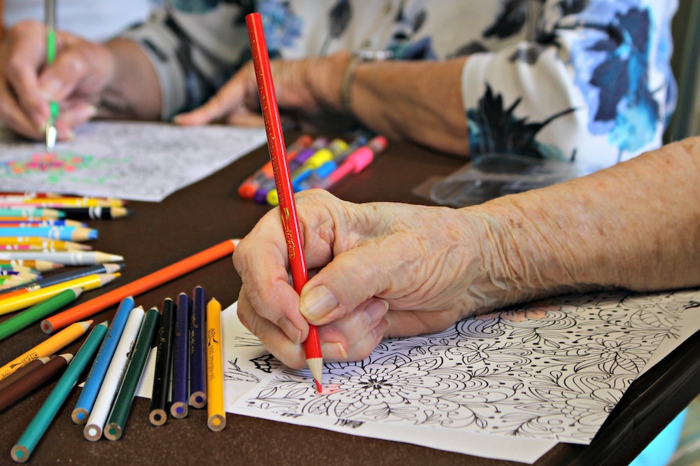 Connections: Adult Coloring for Relaxation - Pinellas